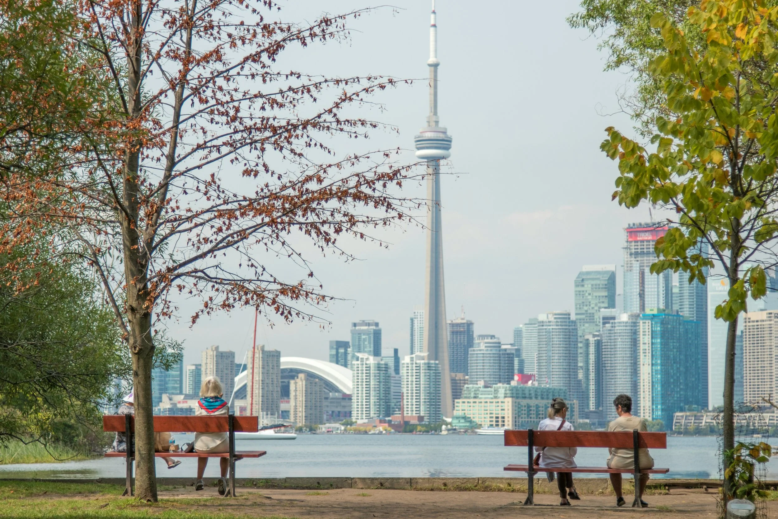 Toronto skyline with CN Tower, waterfront view, people sitting on benches in a park, autumn trees.